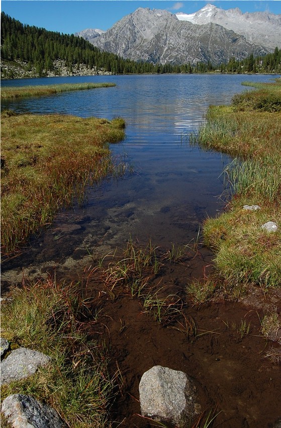 Laghi di San Giuliano e Garzon (Adamello meridionale)